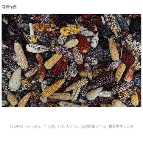 Sony SEL2450G Standard Zoom Lens Full Size FE 24-50mm F2.8 G Lens for Digital SLR Camera α [E-Mount] Genuine Lens
