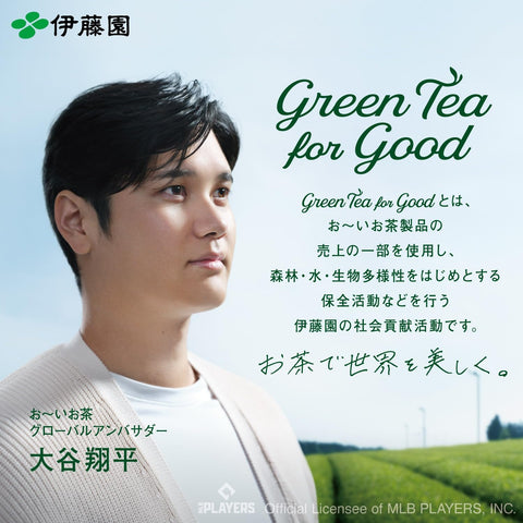 伊藤園 おーいお茶 さらさら濃い茶 粉末 [機能性表示食品] チャック付き袋タイプ 80g