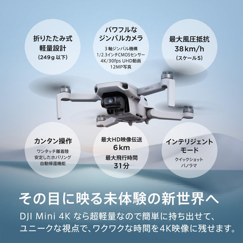 DJI Mini 4K, Drone with 4K UHD Camera for Adults, Under 249 g, 3-Axis Gimbal Stabilization, 10km Video Transmission, Auto Return, Wind Resistance, 1 Battery for 31-Min Max Flight Time, Intelligent