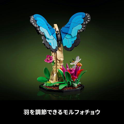 LEGO Ideas Insect Collection 21342 Building Block Set, Toy, Birthday, Present, Blocks, Valentine’s Day, Unisex, Animals, Life-Like, Interior Decor, Stylish