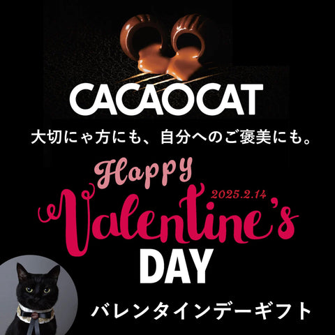 CACAOCAT Can Mix 14 Pack CAT