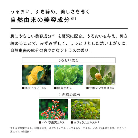 ReFa Spa Foam WASH