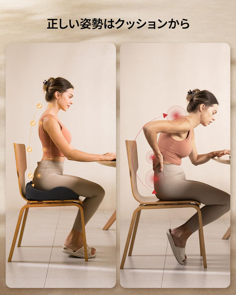 ProtoArc Chair Cushion Thick Memory Foam Comfort Ergonomic Pressure Distributing Non-Slip Seat Cushion for Car Home Office Chair Removable Cover