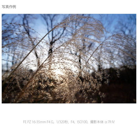 SONY(ソニー) 広角ズームレンズ フルサイズ FE PZ 16-35mm F4 G Gレンズ デジタル一眼カメラα[Eマウント]用 純正レンズ SELP1635G