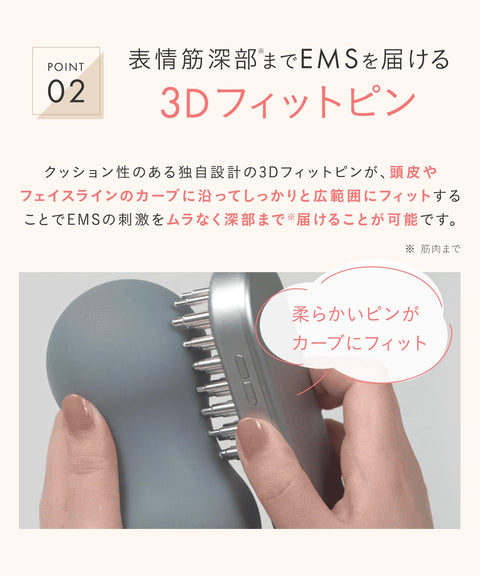 SALONIA サロニア EMS リフトブラシ 電気ブラシ 美顔器 リフトアップ ステッカー付