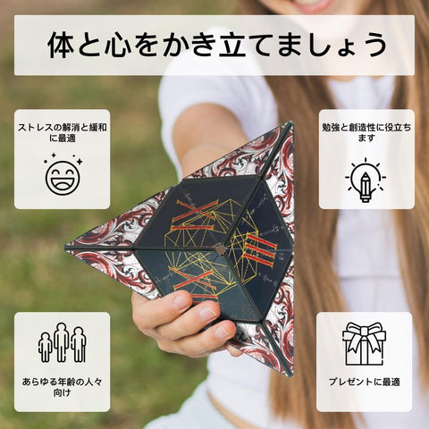 SHASHIBO サイコロパラダイス シェイプシフトボックス 受賞歴のある特許取得済磁気パズルキューブ レアアースマグネット36個付き フィジェットキューブ 70種類以上の形状に変形 (ルネッサンス)