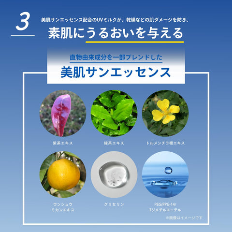 アネッサ(ANESSA) パーフェクトUVスキンケアミルク NA 60mL 【2024年モデル】 SPF50+ PA++++ デイセラムN小型付き 日焼け止め 顔・からだ用 化粧下地 ウォータープルーフ