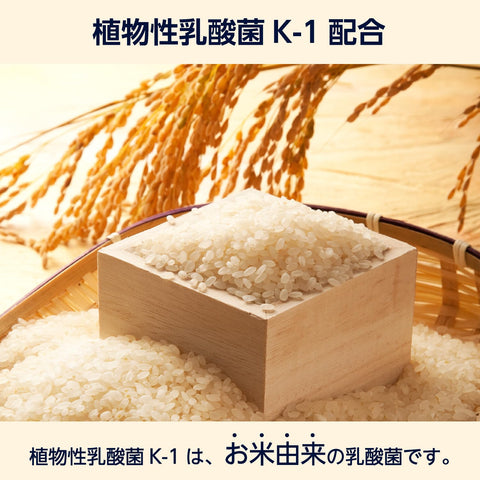 亚马逊植物基乳酸菌 K-1 补充剂，30 片（30 天用量）