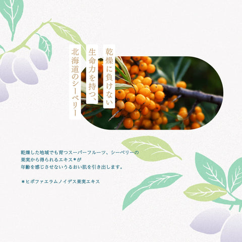 Lululun Face Mask Pack, Hokkaido Lululun (Hascup Scent), 1 Sheet x 5 Bags