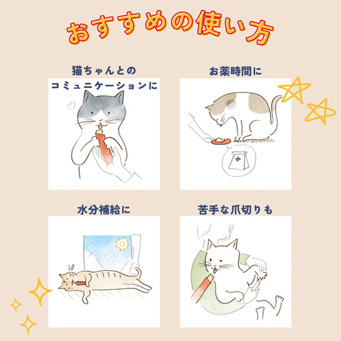 チャオ (CIAO) ちゅ~る 乳酸菌入り バラエティ 40本