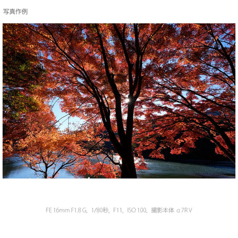 Sony 廣角定焦鏡頭 全尺寸 FE 16mm F1.8 G G鏡頭 數位單眼相機α[E卡口]使用 原廠鏡頭 SEL16F18G