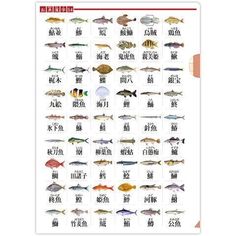The Access Sea Fish Picture Book Clear File A4 Fish Kanji Daizen Series