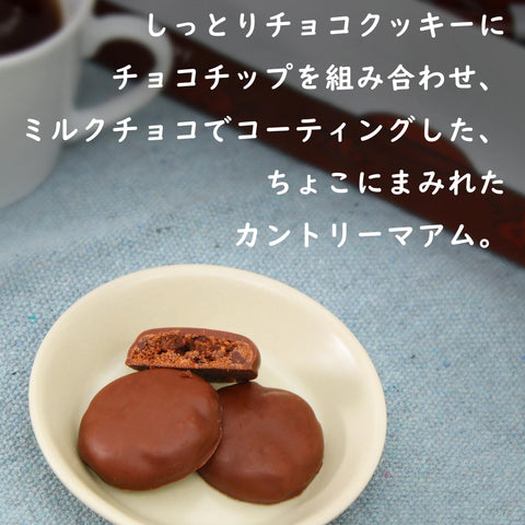 【EC限定品】不二家 カントリーマアムチョコまみれ大容量BOX(500g)