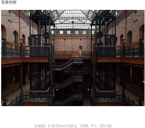 SONY(ソニー) 標準ズームレンズ APS-C E 16-55mm F2.8 G Gレンズ デジタル一眼カメラα[Eマウント]用 純正レンズ SEL1655G