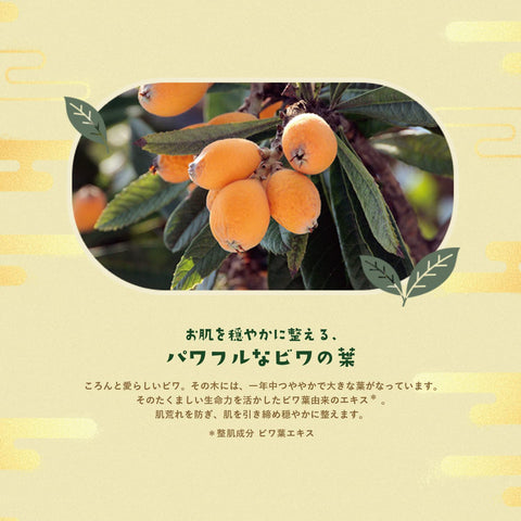 面膜 面膜 LuLulun 京都Lululun (茶花香味) 7片×5袋