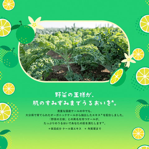 フェイスマスク パック ルルルン 九州ルルルン（カボスの香り） 7枚×5袋