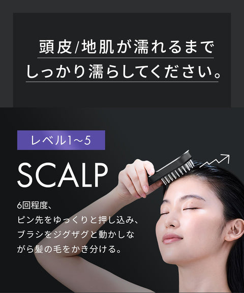 SALONIA EMS Lift Brush 3D Care Electric Brush Facial Beauty Device Lift Up