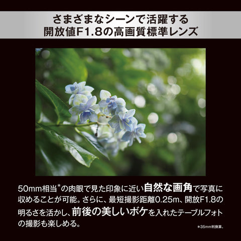 M.ZUIKO DIGITAL 25毫米 F1.8 II