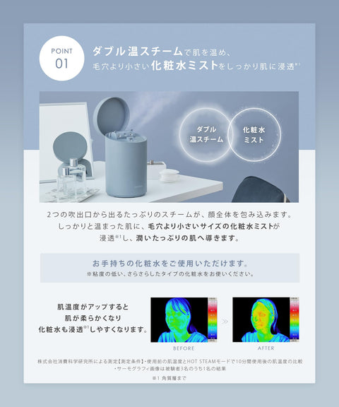SALONIA Pure Bright 臉部蒸氣機，灰色