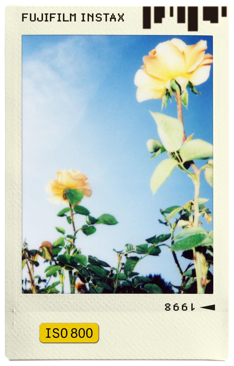 富士フイルム チェキ用フィルム 10枚入 絵柄 フォトスライド INSTAX MINI P-SLIDE WW 1 インスタントカメラ用