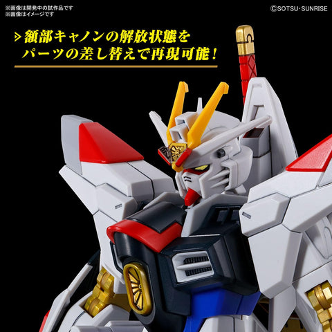 HG 機動戰士高達SEED FREEDOM 我的Strike Freedom Gundam 1/144比例 已分色塑膠模型