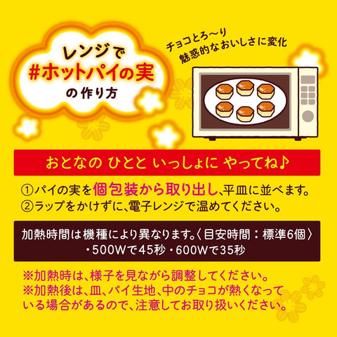 ロッテ パイの実 73g×10個
