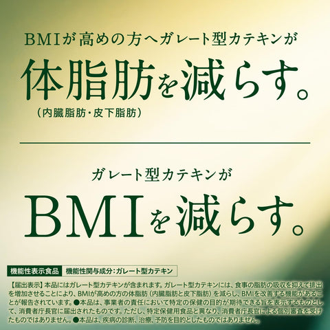 伊藤园 おーいお茶 清爽浓茶 粉末 [功能性标示食品] 带拉链的袋型 80克