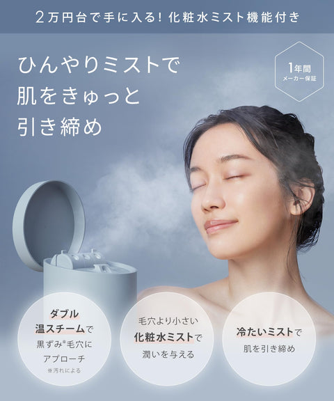SALONIA Pure Bright Facial Steamer, Gray