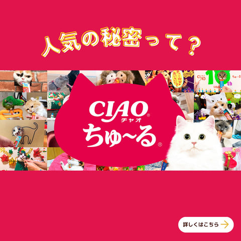 チャオ (CIAO) ちゅ~る 乳酸菌入り バラエティ 40本