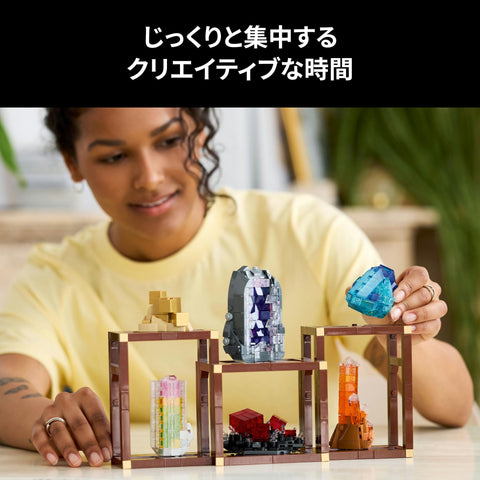 LEGO 樂高 創意系列 礦石收藏 玩具 生日 禮物 積木 男性 女性 手辦 週邊 室內裝飾 時尚 21362