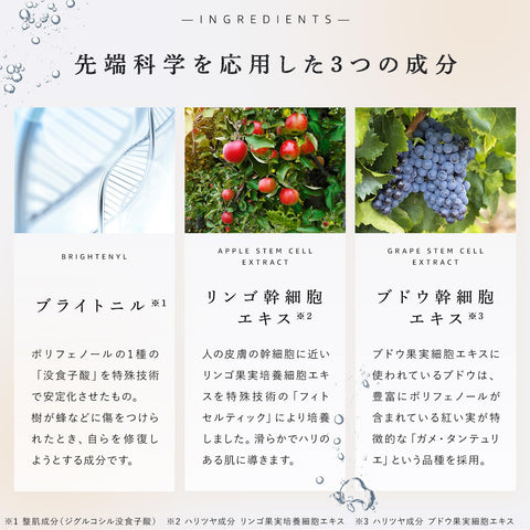 LuLuLun ルルルン ONE 特別な日のスキンケア フェイスパック 1枚入☓5袋