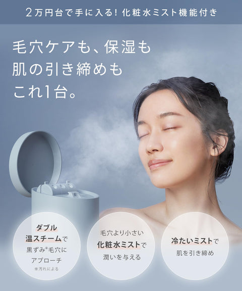 SALONIA Pure Bright Facial Steamer, Gray