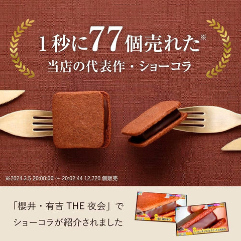 VANILLABEANS (バニラビーンズ) ショーコラ & パリトロ セット チョコレート ギフト お菓子 バレンタイン バレンタインデー (手提げ袋付き 個包装) 詰め合わせ 菓子折り お返し プレゼント 手土産 ご褒美 スイーツ チョコサンド (e.16個入り)