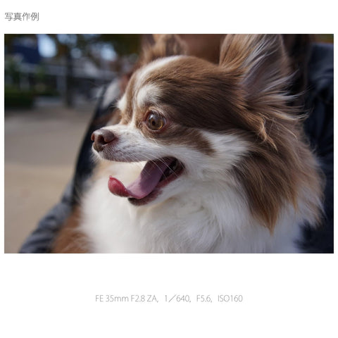 SONY 索尼 定焦镜头 Sonnar T* FE 35 毫米 F2.8 ZA E卡口 35 毫米适应全尺寸 SEL35F28Z