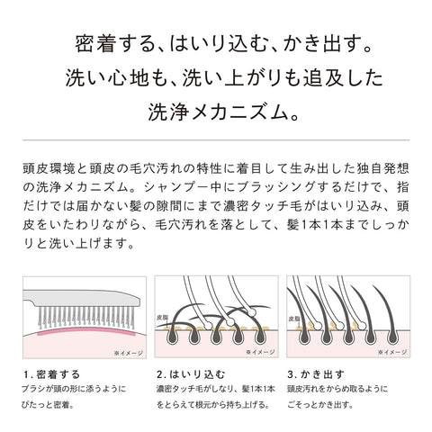 ◆ 뉴 컬러 ◆ [공식 스토어 단독] 리피온 케어 브러쉬 프리미엄/리파 이온 케어 브러쉬 프리미엄