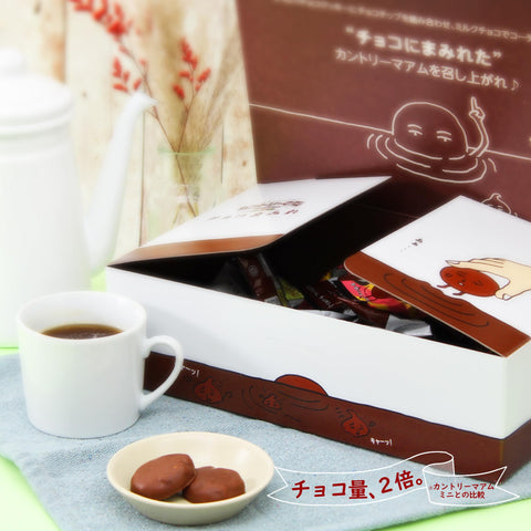 [EC 한정판] 후지야 컨트리 마암 초콜릿 커버 대용량 박스 (500g)