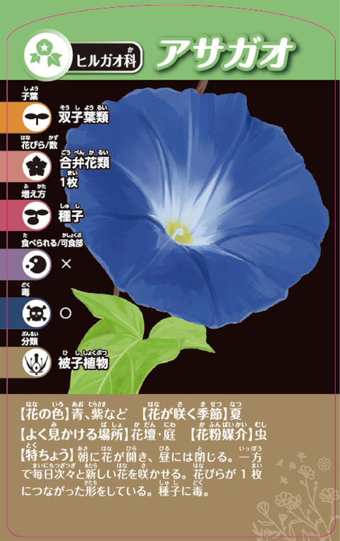 KUMON TOY STEAM 益智玩具 科學 STEM教育 TS-40