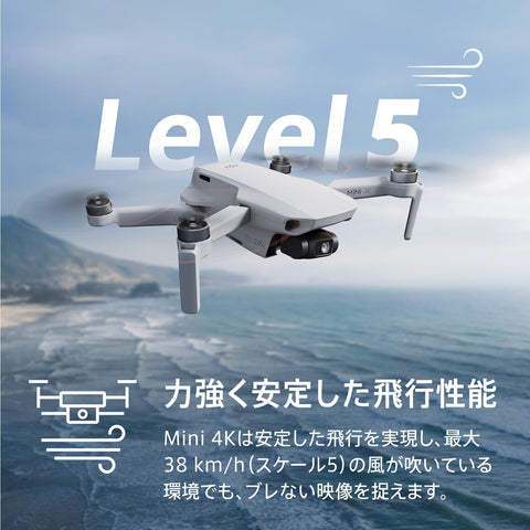 DJI Mini 4K, Drone with 4K UHD Camera for Adults, Under 249 g, 3-Axis Gimbal Stabilization, 10km Video Transmission, Auto Return, Wind Resistance, 1 Battery for 31-Min Max Flight Time, Intelligent