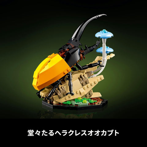 LEGO Ideas Insect Collection 21342 Building Block Set, Toy, Birthday, Present, Blocks, Valentine’s Day, Unisex, Animals, Life-Like, Interior Decor, Stylish