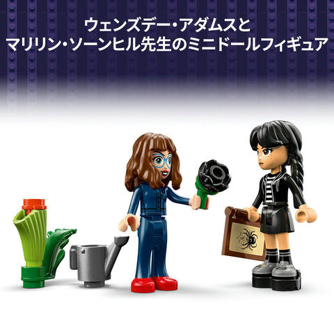 LEGO 乐高 温斯迪 黑大丽亚 玩具 生日 礼物 积木 女孩 男孩 儿童 9岁 10岁 11岁 小学生 花束 人造花 装饰 绘画 艺术 母亲 76784