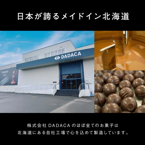 CACAOCAT 罐装 混合 14个装 CAT
