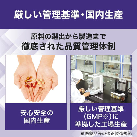 DHC 速攻ブルーベリー 30日分