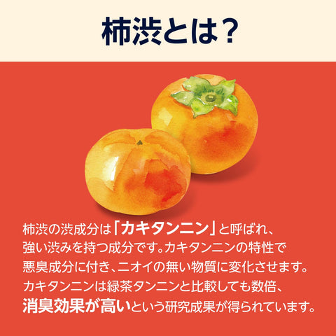 SOLIMO 药用柿子单宁沐浴皂，薄荷味，大容量补充装，1400毫升（亚马逊）