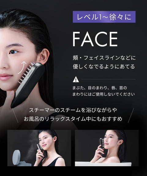SALONIA EMS Lift Brush 3D Care Electric Brush Facial Beauty Device Lift Up