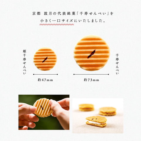 Tsuzuki Hime Senju Senbei (Organic Matcha) 12 Pieces / Kyoto Japanese Sweets, Kyoto Sweets, Japanese Sweets, Individual Packaging, Gift, Souvenir, Gift, Home Use, Tea Time, Thank You, Celebration,