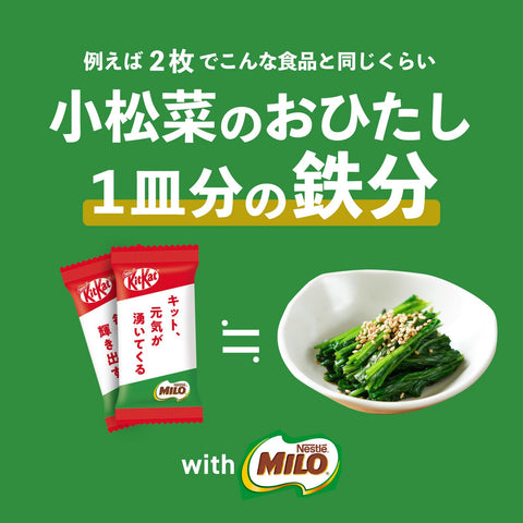 킷캣 철분 보충제 (밀로 포함) 10매 x 12봉지, 초콜릿