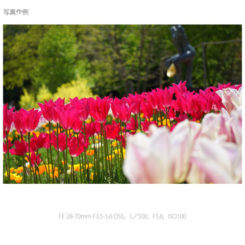 SONY 標準ズームレンズ FE 28-70mm F3.5-5.6 OSS フルサイズ対応