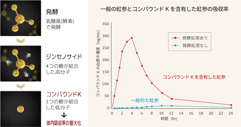 發酵紅參Daily Stick Original