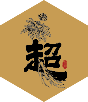 發酵紅參Daily Stick Original