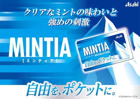 Asahi Group Food Mintia Wild & Cool 50 Tablets x 10 Packs